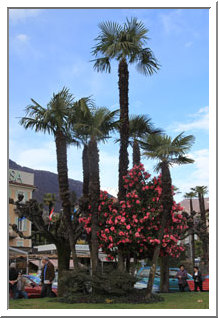 Giardini Rusca, Locarno, Suisse