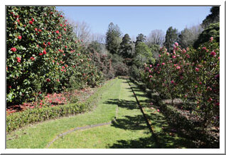 Parc de Terra Nostra