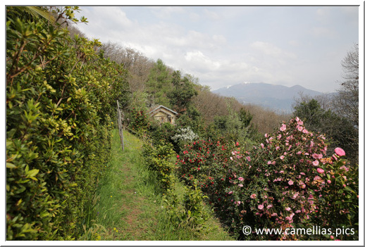 The Lake Maggiore in the backgroung, heading to Switzerland.