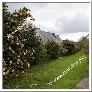 Jardin Privé - Près de la mer dans le Finistère