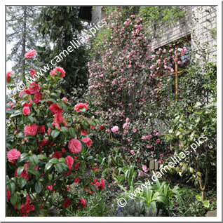 Jardin Privé - Dans la banlieue de Cologne