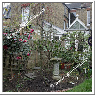 Private Garden - In London
