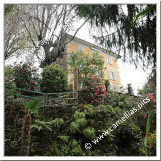 Villa Anelli (Oggebbio Gonte - VB)