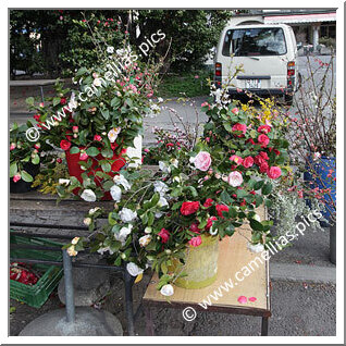 Un petit marché où les marchands vendent aussi des bouquets.