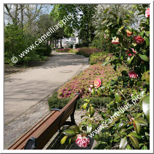 Jardin des plantes de Nantes (Nantes)